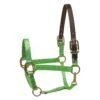 Perri's Nylon Safety Halter - Lime -Horse Tack Supplies 500432 800 800