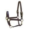 Perri's Nylon Safety Halter - Navy -Horse Tack Supplies 500465 800 800