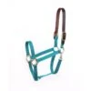 Perri's Economy Nylon Safety Halter - Turquoise