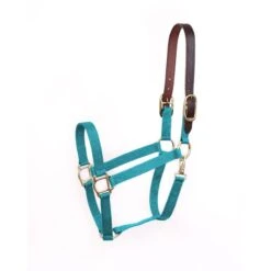 Perri's Economy Nylon Safety Halter - Turquoise
