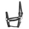 Perri's 1" Leather Track Turnout Halter W/Snap - Black -Horse Tack Supplies 503674 800 800
