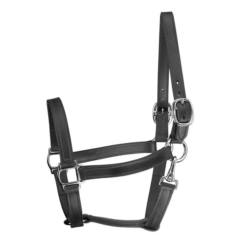 Perri's 1" Leather Track Turnout Halter W/Snap - Black 3 Perri's 1" Leather Track Turnout Halter W/Snap - Black