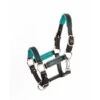 Perri's 3/4" Mini/Pony Padded Leather Halter - Black/Turquoise -Horse Tack Supplies 503678 800 800