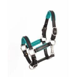 Perri's 3/4" Mini/Pony Padded Leather Halter - Black/Turquoise