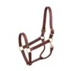 Perri's 1" Professional Leather Show Halter - Hazelnut