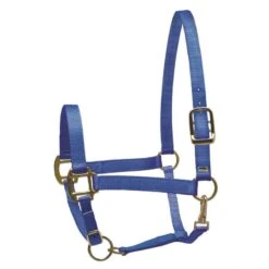 Perri's Nylon SuperHalter - Royal Blue