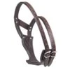 Camelot Wonder Cribbing Collar - Brown -Horse Tack Supplies 504320 800 800