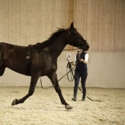 Horze Nylon Lunging Cavesson - Black 5 Horze Nylon Lunging Cavesson - Black -Horse Tack Supplies 505592 800 800