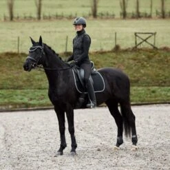 Horze Adepto Fetlock Boots - Black -Horse Tack Supplies 533529 800 800