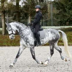 Horze Adepto Fetlock Boots - Steel Grey 9 Horze Adepto Fetlock Boots - Steel Grey -Horse Tack Supplies 533547 800 800