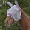 Weatherbeeta Comfitec Durable Mesh Mask W/Ears - Grey/Purple -Horse Tack Supplies 534376 800 800