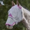Weatherbeeta Comfitec Durable Mesh Mask W/Nose - Grey/Purple 1 Weatherbeeta Comfitec Durable Mesh Mask W/Nose - Grey/Purple -Horse Tack Supplies 534419 800 800