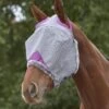 Weatherbeeta Comfitec Durable Mesh Mask - Grey/Purple -Horse Tack Supplies 534613 800 800