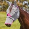 Weatherbeeta Comfitec Deluxe Durable Mesh Mask W/Ears & Nose - Grey/Purple -Horse Tack Supplies 535064 800 800