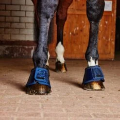 Horze Glitter Bell Boots - Dark Blue -Horse Tack Supplies 535766 800 800