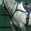 Collegiate Essential 5-Point Breastplate - Brown -Horse Tack Supplies 536075 800 800