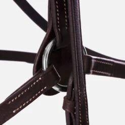 Equinavia Saga Fancy Stitched Figure 8 Bridle W/Reins - Chocolate Brown -Horse Tack Supplies 540884 800 800