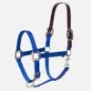 Equinavia Loki Breakaway Halter - Royal Blue -Horse Tack Supplies 545216 800 800