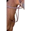 Passport Plain Raised Running Martingale - Mahogany -Horse Tack Supplies 546020 800 800
