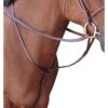 Passport Square Raised Standing Martingale - Mahogany -Horse Tack Supplies 546030 800 800