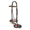 Passport Raised And Padded Bridle W/Flash - Brown -Horse Tack Supplies 548495 800 800
