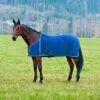 Finntack Fleece Blanket W/Mesh Lining - Blue/Blue -Horse Tack Supplies 552629 800 800