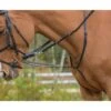 Shires Avignon German Martingale - Black 1 Shires Avignon German Martingale - Black -Horse Tack Supplies 553701 800 800