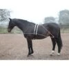 Shires Lunging Aid - Black 2 Shires Lunging Aid - Black -Horse Tack Supplies 553776 800 800