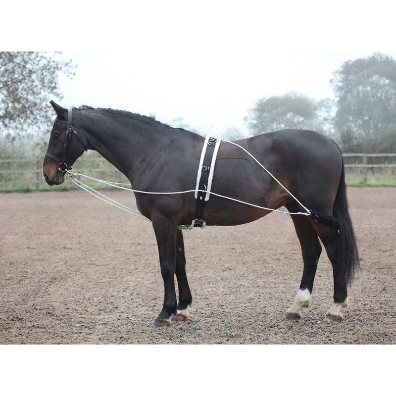 Shires Lunging Aid - Black 3 Shires Lunging Aid - Black