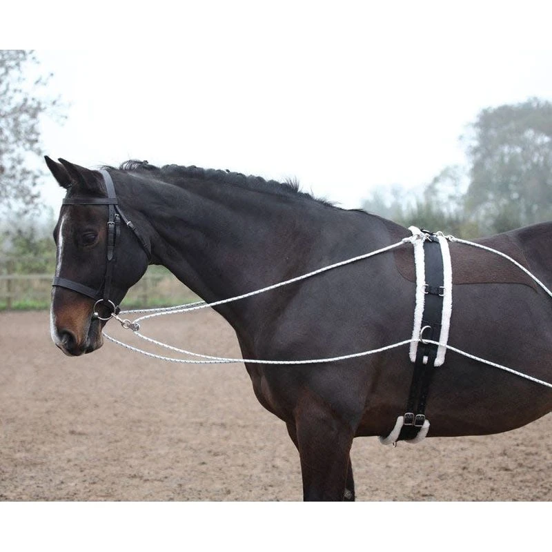 Shires Lunging Aid - Black 4 Shires Lunging Aid - Black - Image 2