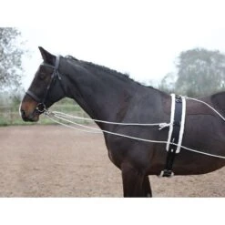 Shires Lunging Aid - Black 9 Shires Lunging Aid - Black -Horse Tack Supplies 553778 800 800