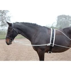 Shires Lunging Aid - Black 10 Shires Lunging Aid - Black -Horse Tack Supplies 553779 800 800