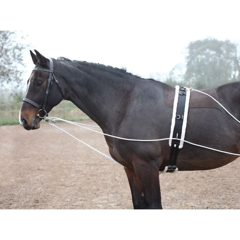 Shires Lunging Aid - Black 7 Shires Lunging Aid - Black - Image 5