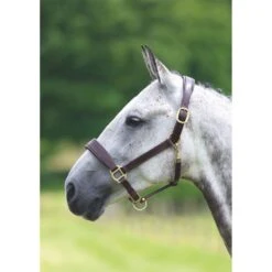 Blenheim Leather Travel Headcollar - Havana
