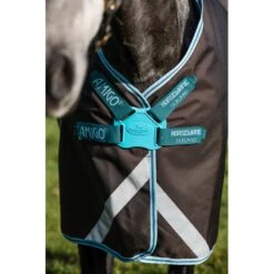 Horse Tack Supplies -Horse Tack Supplies 555816 800 800