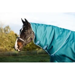 Amigo Bravo 12 Plus Turnout 400g - Storm Green/Turquoise/Aqua 7 Amigo Bravo 12 Plus Turnout 400g - Storm Green/Turquoise/Aqua -Horse Tack Supplies 555955 800 800