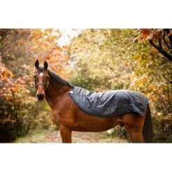 Rambo Autumn Series - Navy/Grey -Horse Tack Supplies 556634 800 800