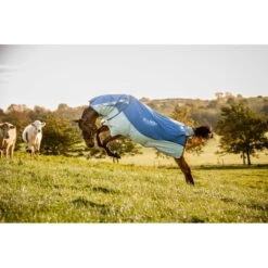 Rambo Autumn Series - Navy/Grey -Horse Tack Supplies 556636 800 800