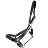 Nunn Finer Tivoli Halter - Black -Horse Tack Supplies 576743 800 800