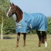Weatherbeeta Comfitec Essential Standard Neck Medium - Teal Blue/Cream/Sage Green -Horse Tack Supplies 579674 800 800