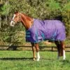 Weatherbeeta Comfitec Essential Standard Neck Heavy - Grape Purple/Blue -Horse Tack Supplies 580066 800 800