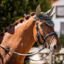 Horze Sandnes Ear Net - Dark Olive -Horse Tack Supplies 591413 800 800