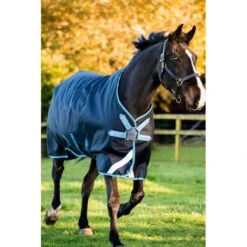 Amigo Bravo 12 Plus Disc Closure Turnout Bundle - Navy/Turquoise/Aqua/Blue 11 Amigo Bravo 12 Plus Disc Closure Turnout Bundle - Navy/Turquoise/Aqua/Blue -Horse Tack Supplies 591477 800 800