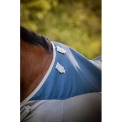 Amigo Ameco Combi - Teal/Grey -Horse Tack Supplies 607452 800 800