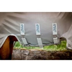 Amigo Ameco Combi - Teal/Grey -Horse Tack Supplies 607455 800 800