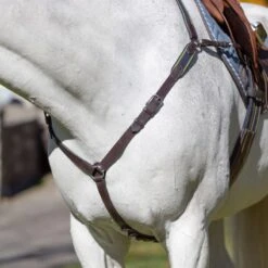 Equinavia Valkyrie Elastic Breastplate - Chocolate Brown -Horse Tack Supplies 608056 800 800