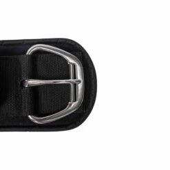 Back On Track Gentle Touch Western Staight Cinch - Black -Horse Tack Supplies 621412 800 800