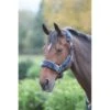 Shires Fleece Lined Headcollar W/Breakaway - Navy -Horse Tack Supplies 622739 800 800