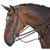 M. Toulouse Platinum Flat Curb Rein - Cognac 2 M. Toulouse Platinum Flat Curb Rein - Cognac -Horse Tack Supplies 631328 800 800