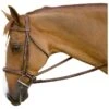 M. Toulouse Brunello Handy Hunter Bridle - Chocolate -Horse Tack Supplies 631925 800 800